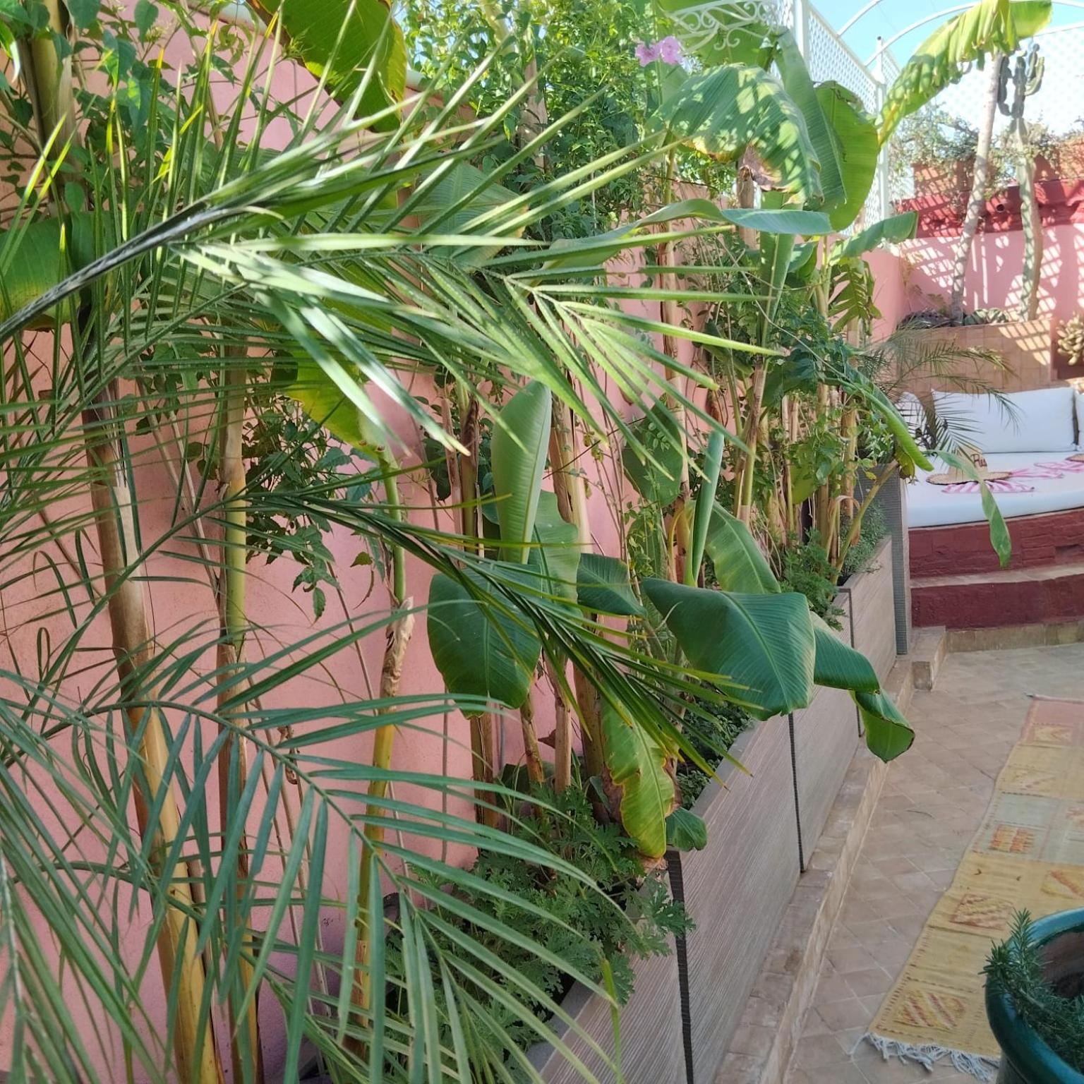 Riad Laith (Adults Only) Marrakesz Zewnętrze zdjęcie