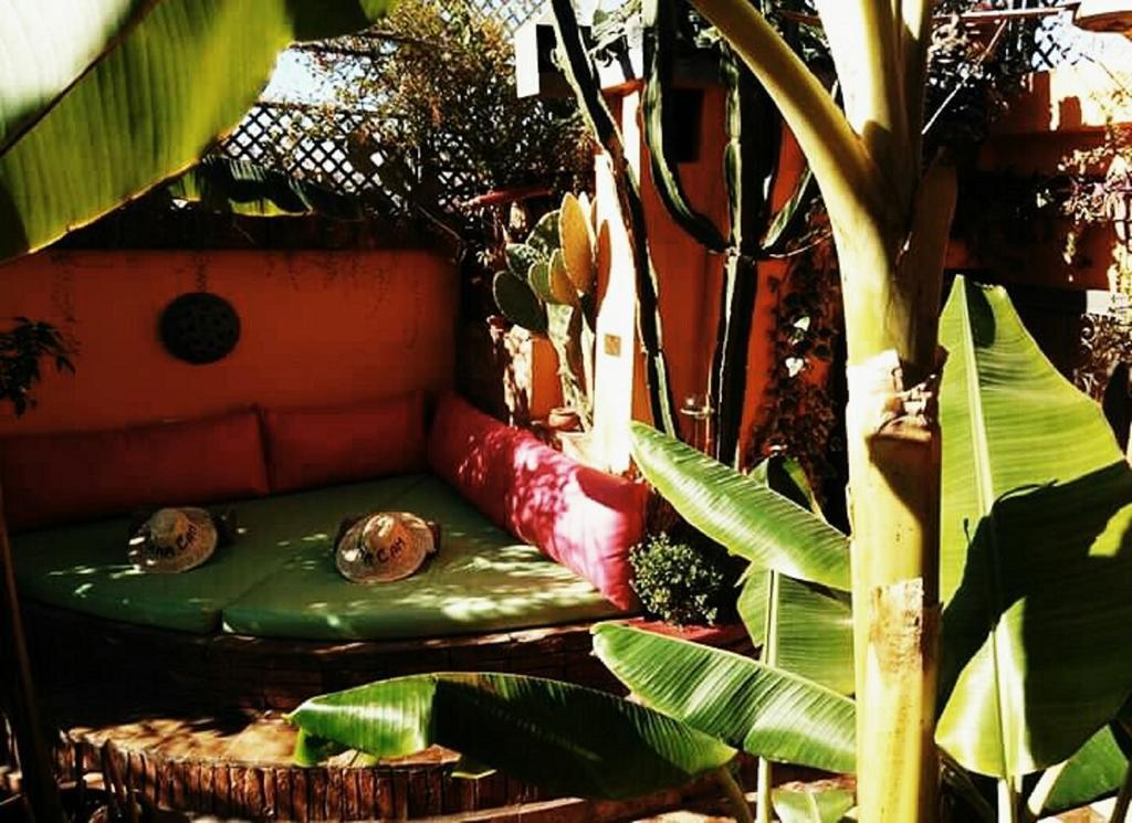 Riad Laith (Adults Only) Marrakesz Zewnętrze zdjęcie