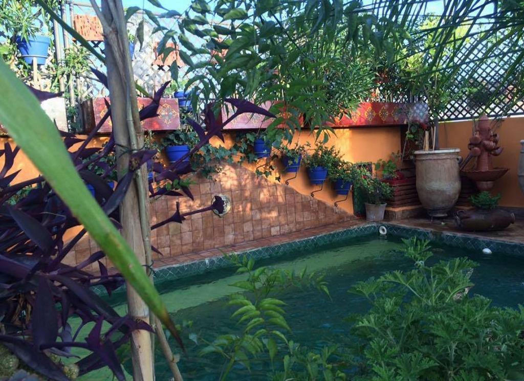 Riad Laith (Adults Only) Marrakesz Zewnętrze zdjęcie