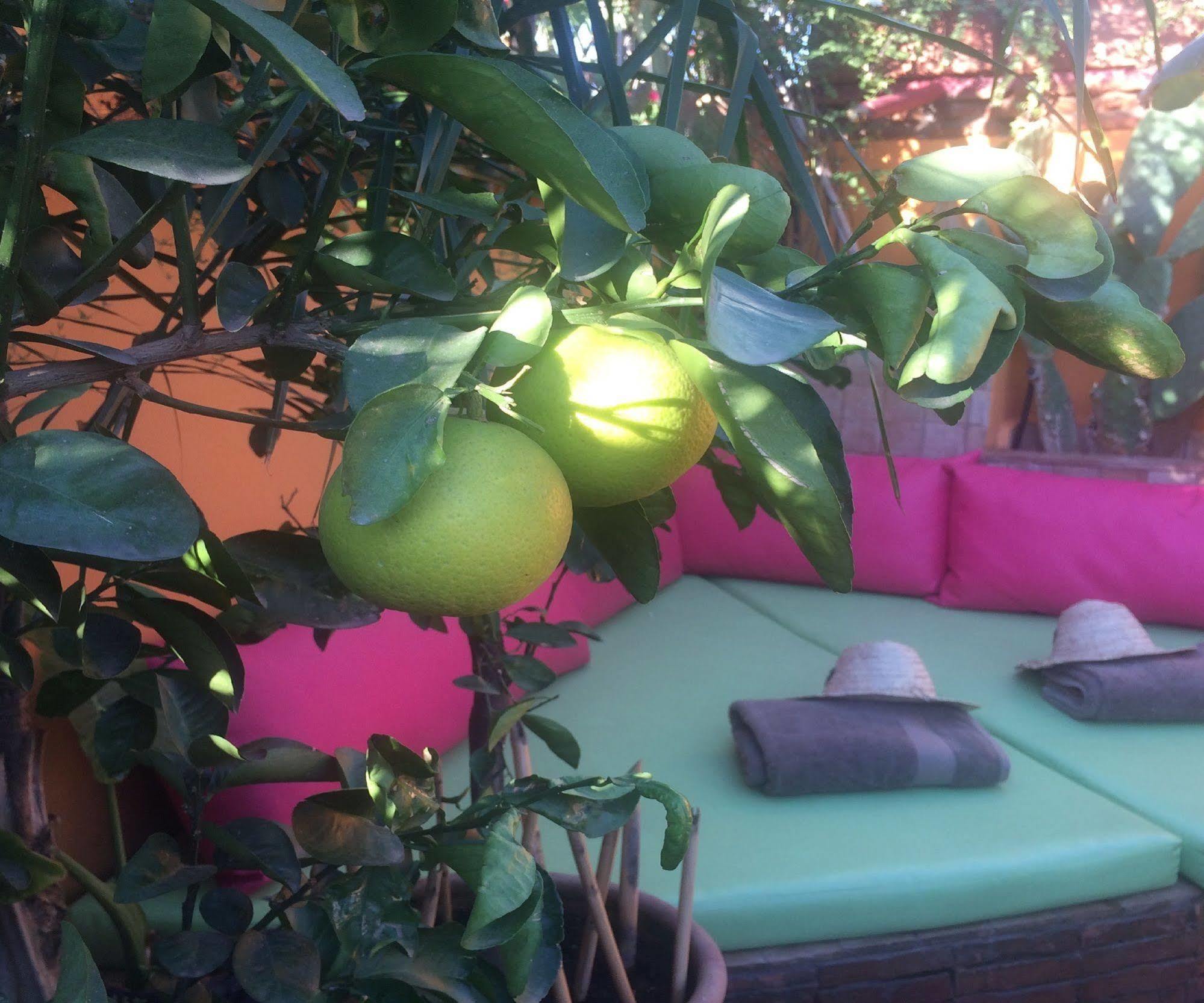 Riad Laith (Adults Only) Marrakesz Zewnętrze zdjęcie